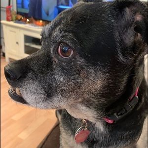 Meet your Posher, Denise